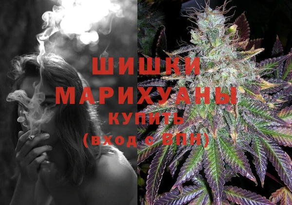 бошки Арсеньев