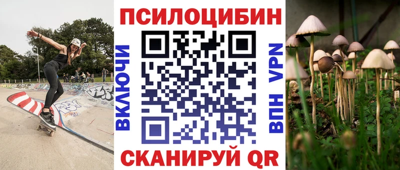 кракен зеркало  Георгиевск  Галлюциногенные грибы прущие грибы  где можно купить  