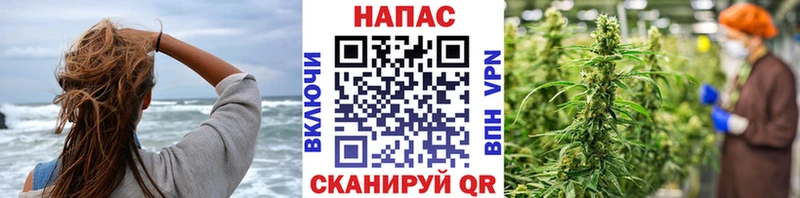 гидра tor  магазин  наркотиков  Георгиевск  Марихуана AK-47 
